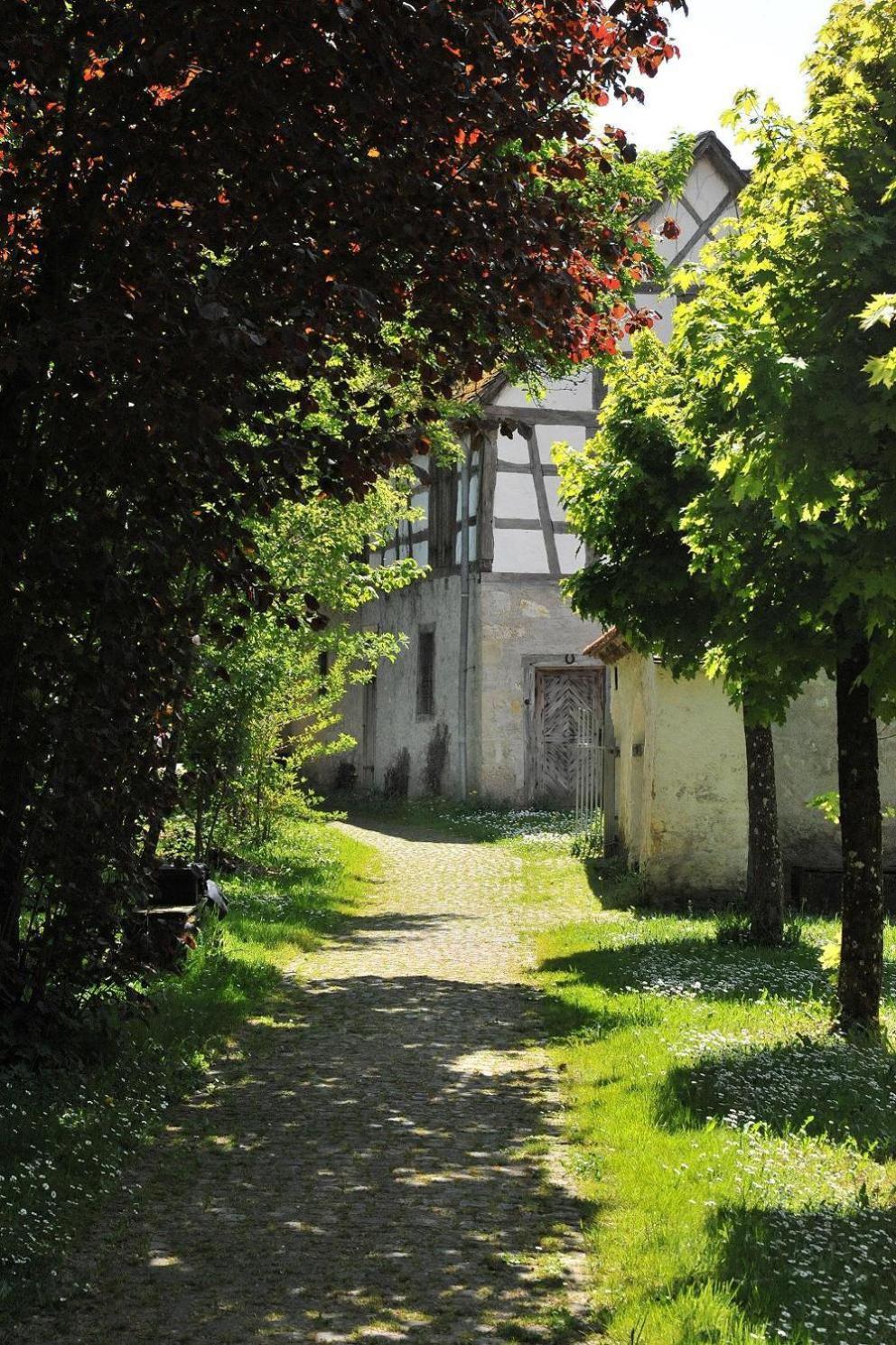Tagungshaus Kloster Heiligkreuztal Altheim  Zewnętrze zdjęcie