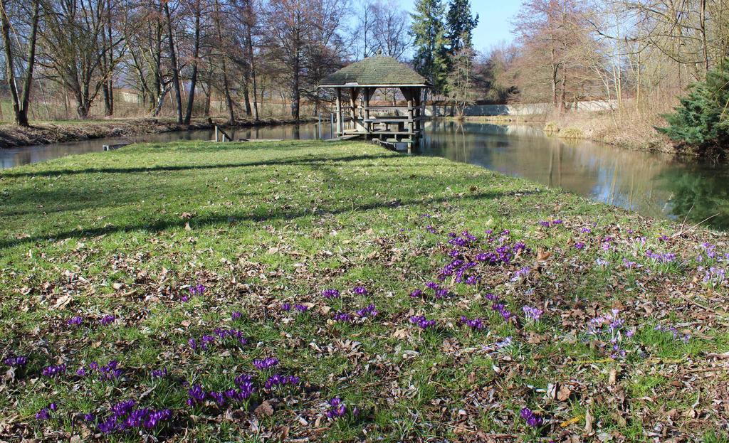 Tagungshaus Kloster Heiligkreuztal Altheim  Zewnętrze zdjęcie